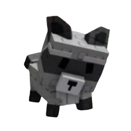 Raccoon1
